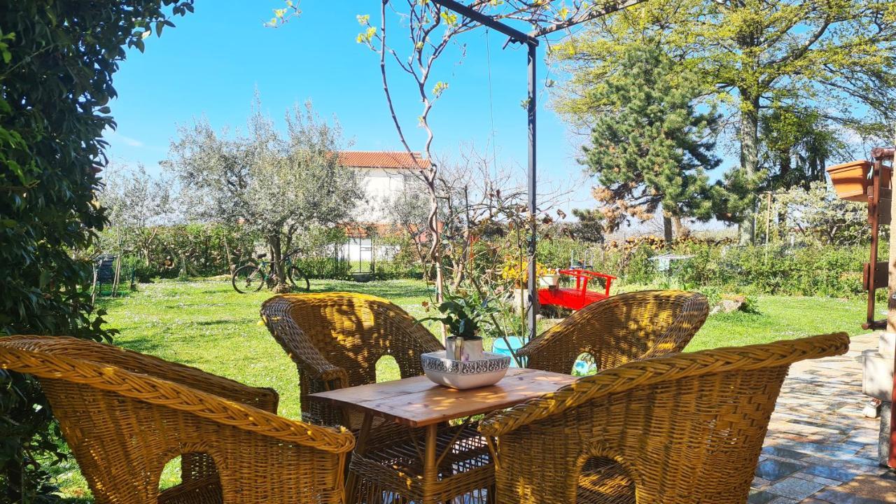 Apartman Kos Rosini Exteriér fotografie